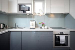 A kitchen or kitchenette at Apartments ViLu