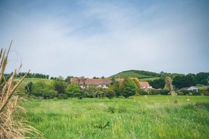 un campo de césped verde con casas en el fondo en The Grange Hotel Brent Knoll, en Highbridge