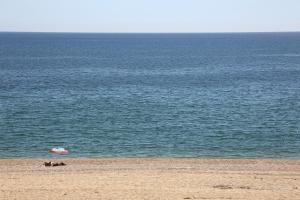 um grupo de pessoas em uma praia com um guarda-sol em Ermioni Apartments em Nea Vrasna