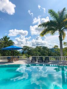 uma piscina com cadeiras e uma palmeira em Hotel Med Doradal em Doradal