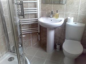 a bathroom with a toilet and a sink and a shower at Baytree B&B in Charlestown