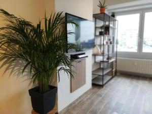 
A television and/or entertainment center at appartement oostende vlak aan zee
