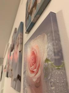 Fotografie z fotogalerie ubytování Apartment Futura v destinaci Baška
