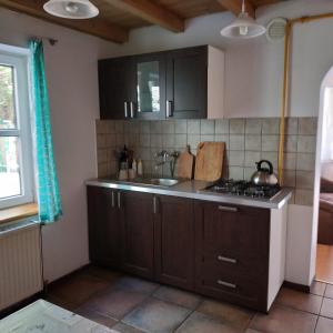 eine Küche mit einer Spüle und einer Arbeitsplatte in der Unterkunft Mandarynkowy in Dębki