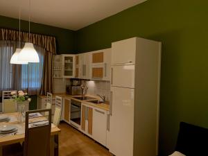 Kuchyňa alebo kuchynka v ubytovaní Beach Resort Fonyód