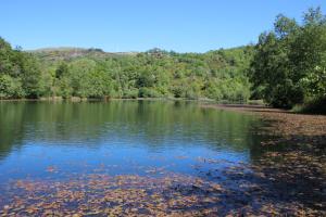 Billede fra billedgalleriet på Casa do Castanheiro i Outeiro + 58 billeder