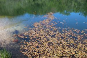 Billede fra billedgalleriet på Casa do Castanheiro i Outeiro