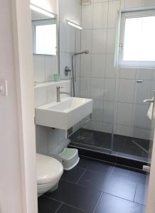 a bathroom with a sink and a toilet at GreenPlace City Apartment in Bern