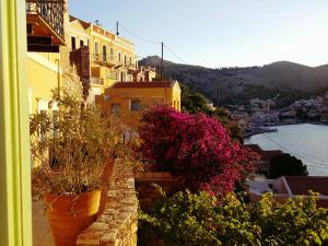 a group of buildings and flowers on a ledge at Pitini in Symi