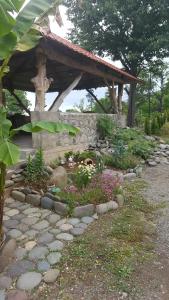 A garden outside Olga's Home
