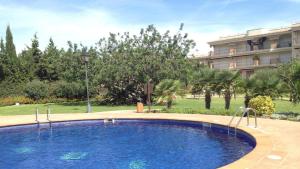 Bazén v ubytovaní Golden Beach 205 alebo v jeho blízkosti