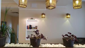 a group of potted plants on a table with lights at CASA DEL SOL Sozopol in Sozopol +59 photos