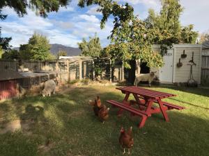 una mesa de picnic en un patio con pollos y ovejas en Tailor Made Tekapo Accommodation - Guesthouse & Hostel, en Lake Tekapo