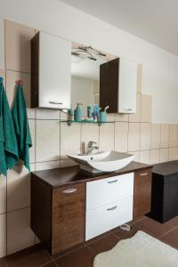 a bathroom with a sink and a mirror at Wineyard getaway house in Sevnica