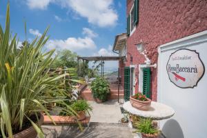 Zahrada ubytování B&B Rosso Baccara