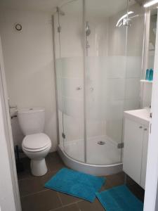 a bathroom with a shower and a toilet and a sink at studio en plein centre ville à 8 minutes de l'océan in Le Porge