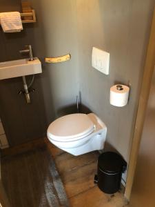 a small bathroom with a toilet and a sink at Cabin in the Green - near Amsterdam in Velsen-Zuid