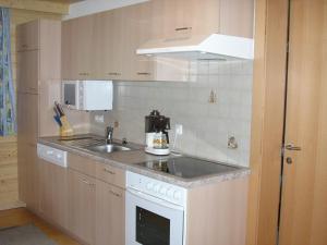 Kuchyňa alebo kuchynka v ubytovaní Appartement Bischof