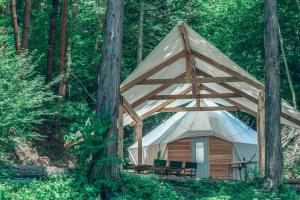 ein Zelt mitten im Wald in der Unterkunft Retreat Camp Mahoroba in Fujikawaguchiko
