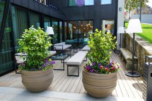 dois grandes potes com flores num pátio em Castelo Hotel em Chaves