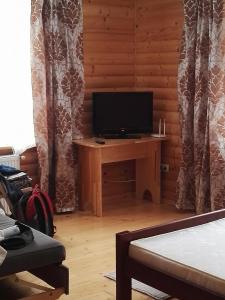 TV a/nebo společenská místnost v ubytování Гірський релакс