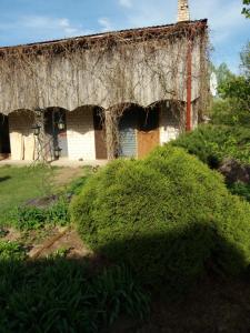 an old house with a grass roof and a bush at Lejas dzīvoklis Beči in Vecumnieki