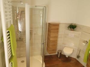 ein Bad mit einer Dusche und einem WC in der Unterkunft Fuchsbaude in Allrode