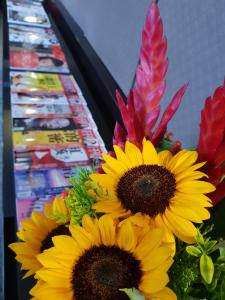 Fotografie z fotogalerie ubytování Sun Sweet Hotel v destinaci Luodong