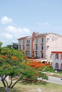 a group of buildings and a tree with orange flowers at Hotel Tankah Cancun in Cancún