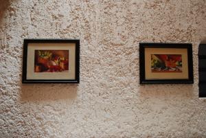 Fotografie z fotogalerie ubytování Hotel Tankah Cancun v destinaci Cancún