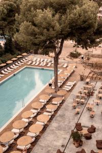 una piscina con sombrillas, mesas, sillas y un árbol en Cooks Club Palma Beach - Adults Only, en Playa de Palma