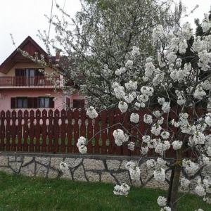 鮑洛通哲勒克的住宿－Tóth nyaraló，房屋前有花树的栅栏