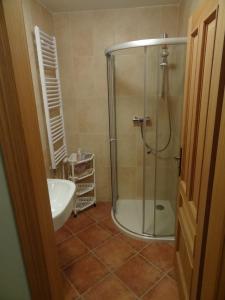 Koupelna v ubytování Apartmány Pod Javorem