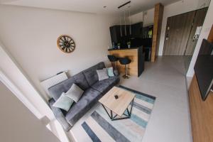 Hypnotize Apartment في كونين: غرفة معيشة مع أريكة رمادية وطاولة