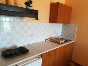 Virtuvė arba virtuvėlė apgyvendinimo įstaigoje Eleftheria's Apartments