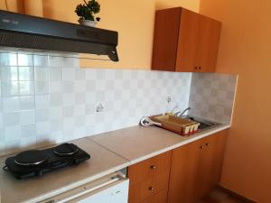 Kuchyňa alebo kuchynka v ubytovaní Eleftheria's Apartments + 18 fotografií