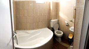 Ванна кімната в Pensiunea Marinarul