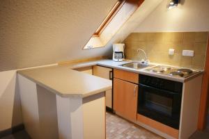 a small kitchen with a sink and a stove at Seminarhaus am Liebfrauenberg in Haintchen