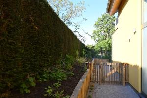 Zahrada ubytování B&B Dujardin