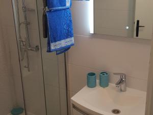 a bathroom with a sink and a shower with a blue towel at Apartman Duba in Senj +47 photos