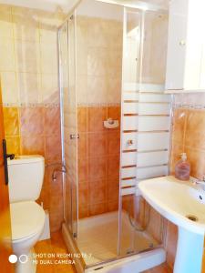 a bathroom with a shower and a toilet and a sink at Villa Chrysodimi in Halki