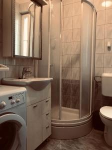 W łazience znajduje się prysznic, umywalka i toaleta. w obiekcie Haus Vukas w mieście Zadar