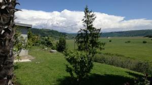 Imagen de la galería de Quiet getaway house, en Sečovlje