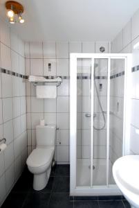 La salle de bains est pourvue de toilettes, d'une douche et d'un lavabo. dans l'établissement Hotel George, à Montmélian