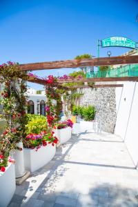 Сад в Hotel La Mandorla