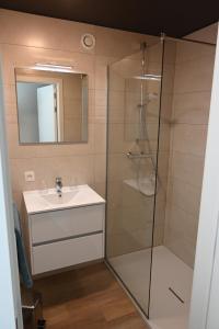 a bathroom with a shower and a sink and a mirror at B&B Dujardin in Dilbeek
