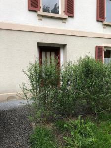 Zahrada ubytování Kleines Nest im Zentrum, eigener Eingang, Parkplatz, kostenloses Wlan