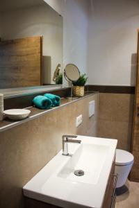 ein Badezimmer mit einem Waschbecken, einem WC und einem Spiegel in der Unterkunft Living Apartment Maurer in Sautens