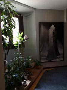 Fotografie z fotogalerie ubytování Hostal San Martin v destinaci León