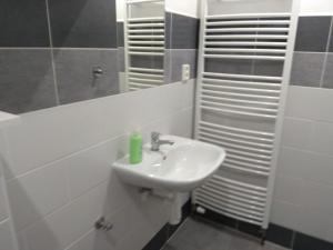 Vannituba majutusasutuses Apartmány U splavu